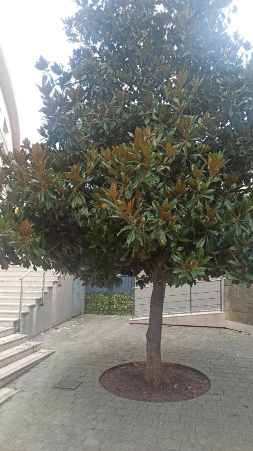 Apartmán Rosselli93 Matera Exteriér fotografie